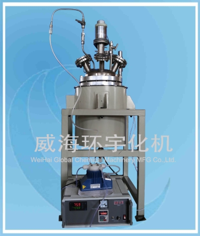 山东50L High-temperature Reactor 