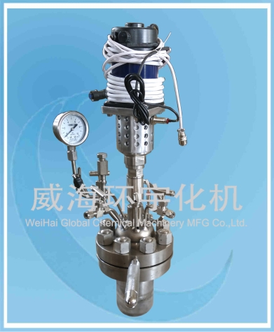 山东0.5L 微型反应釜