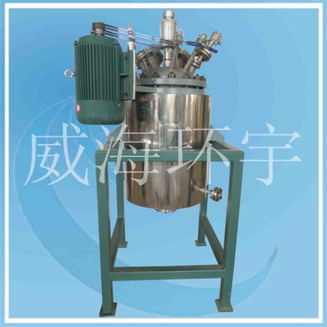 山东50L Low temperature Reactor