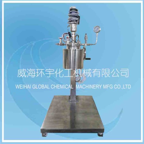 山东5L Lifting Reactor