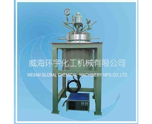 山东10L High Pressure Reactor