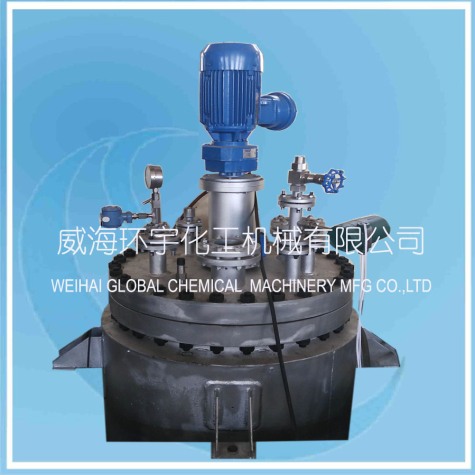 山东300L Hydrogenation Reactor