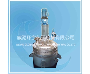 山东500L Resin Reactor