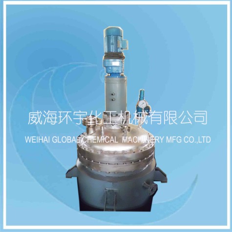 山东500L Resin Reactor