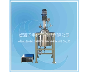 山东10L Magnetic Reactor