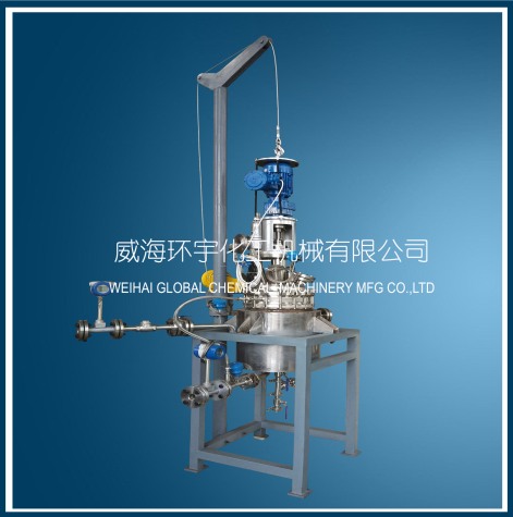 山东30L Quick Open Reactor