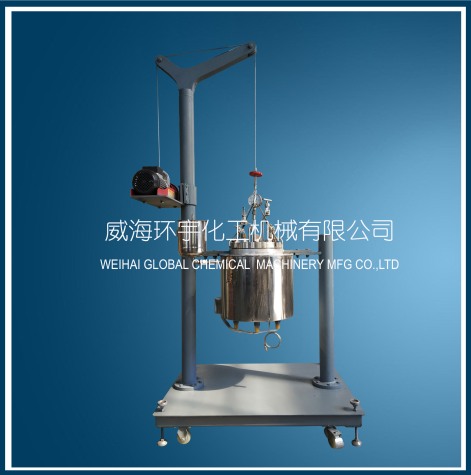 山东10L Lifting Reactor without Mixer