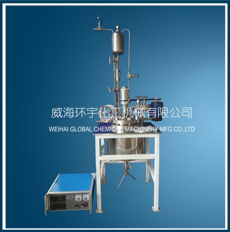 山东2L Lab Reactor with Feeding Port