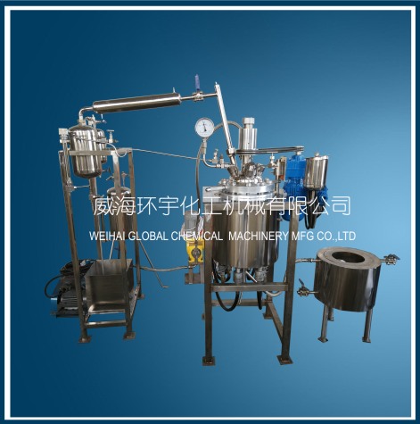 山东10L Reactor System