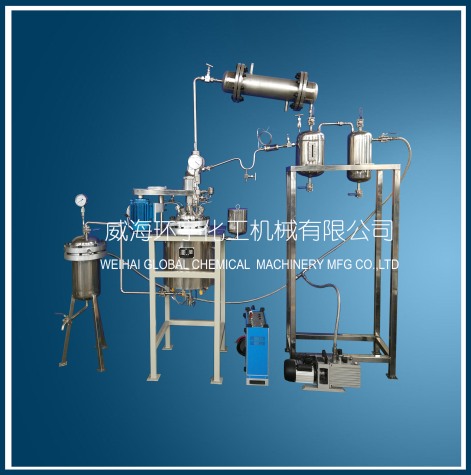 山东10L Customized Reactor System