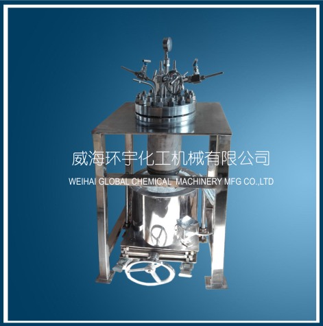 山东5L Hastelloy Reactor with Removable Heater