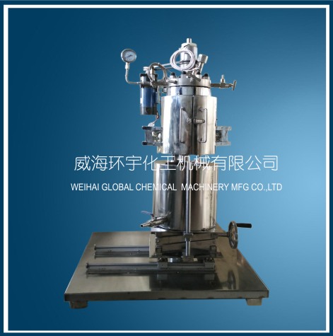 山东2L Lifting Reactor