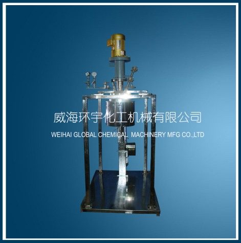 山东5L Electric Lifting Reactor