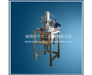 山东5L Magnetic Reactor