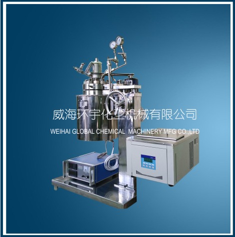 山东2L Lifting Reactor