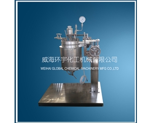 山东50L High Pressure Lifting Reactor