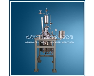 山东2L Magnetic Reactor with Feeding Tank