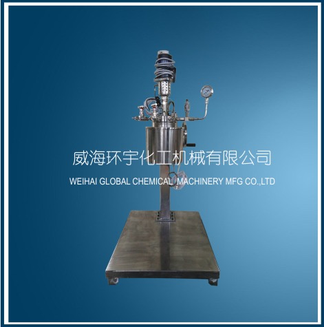 山东5L Lifting Reactor