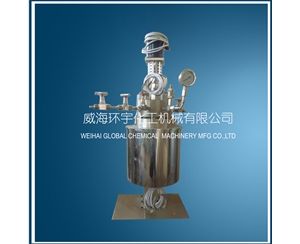 Lab Scale Stainless Steel Reactor