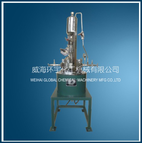 山东Small Reactor with Feeding Tank