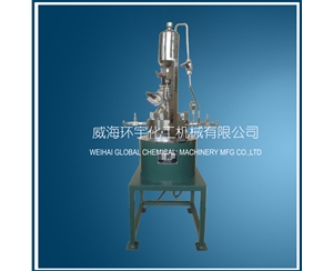 山东Small Reactor with Feeding Tank