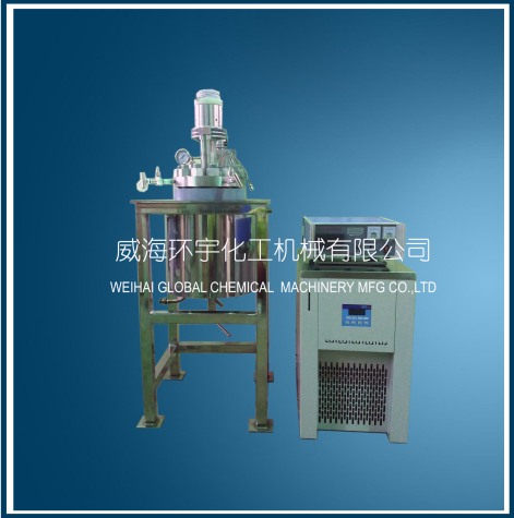 山东5L high pressure low temperature reactor