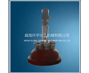 山东1000L Magnetic Agitator