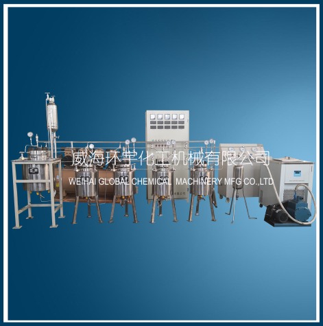 山东0.5L Customized Reactor System